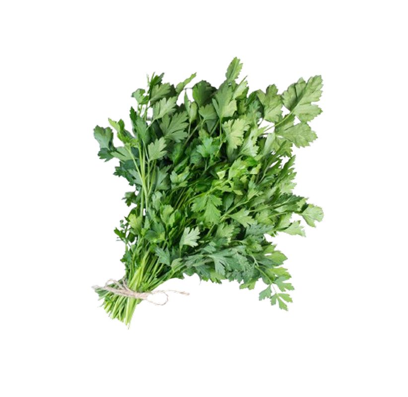 Coriander