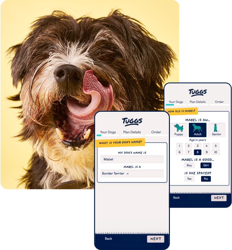 Dog sitting next to a phone showing the Tuggs plan creation screens