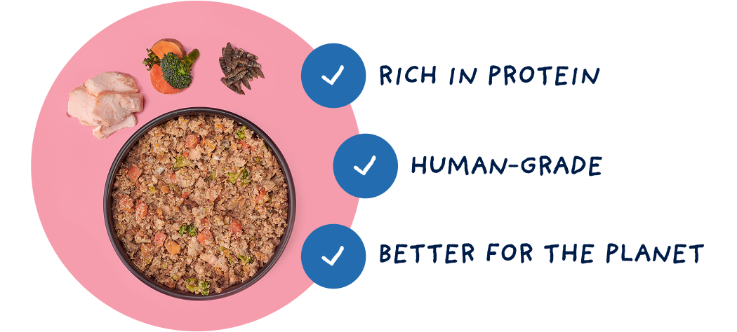 A bowl of Tuggs with text highlighting the benefits of insects: rich in protein, loved by dogs, and better for the planet.