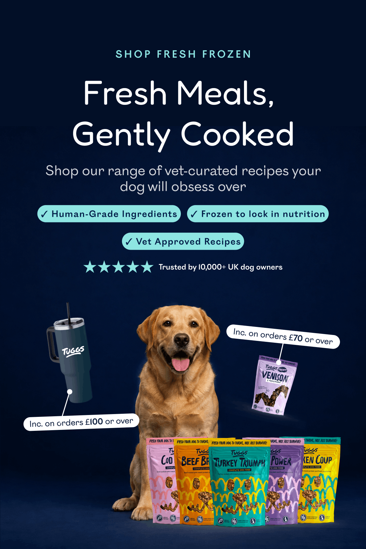 Fresh meals, gently cooked