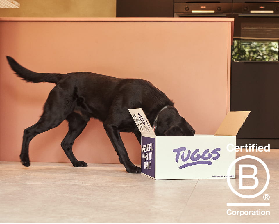 Dog with Tuggs treats and supplements